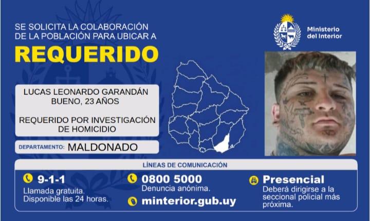 Imagen 1 de la galería