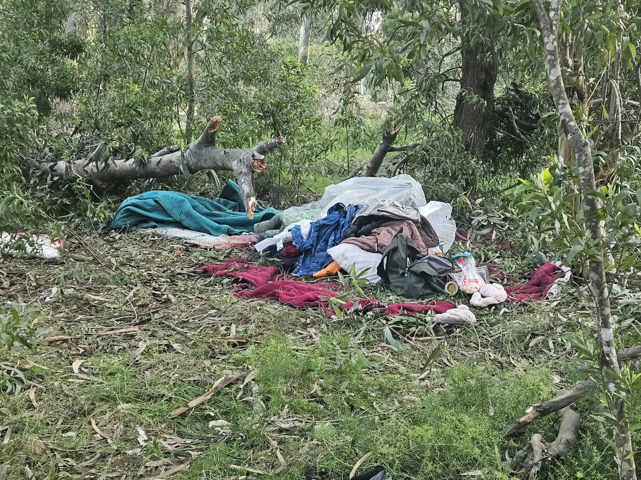 Imagen 1 de la galería