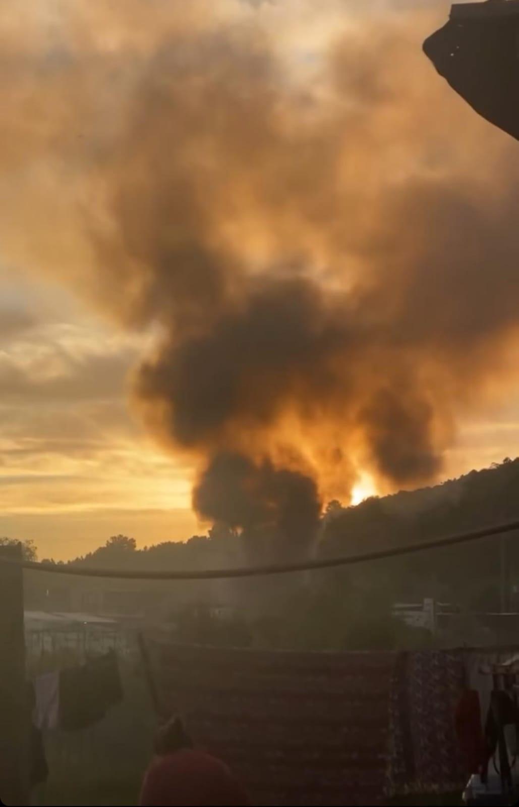 Imagen 1 de la galería