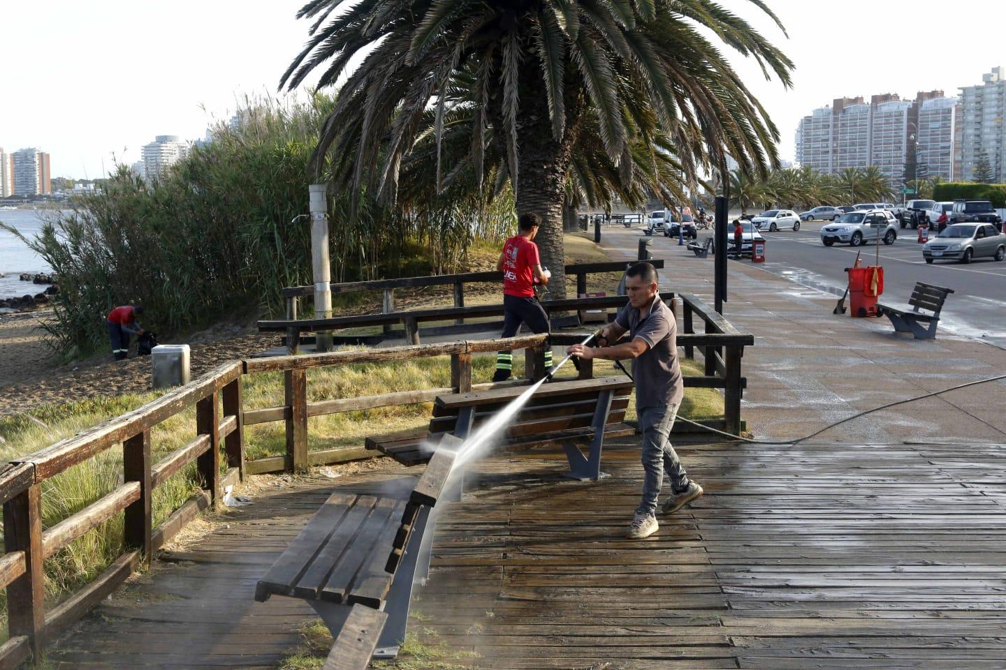 Imagen 2 de la galería