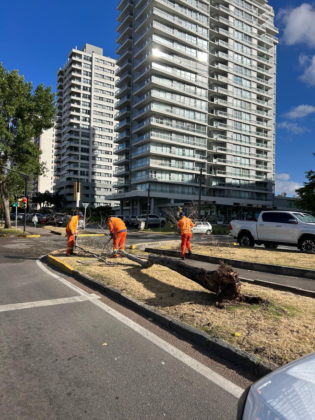 Imagen 1 de la galería