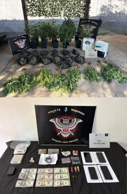 Imagen 1 de la galería