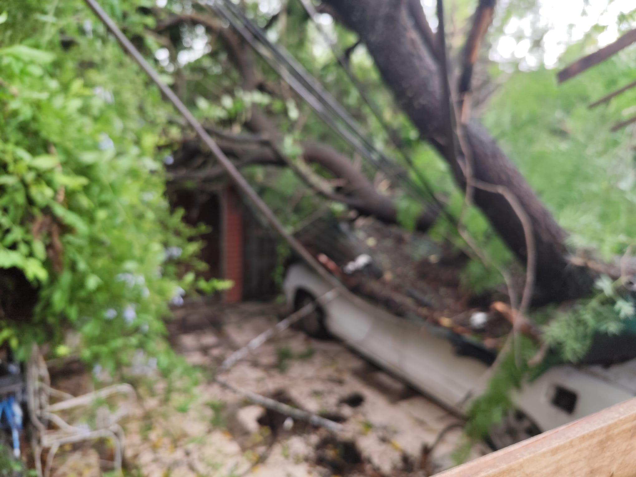 Imagen 1 de la galería