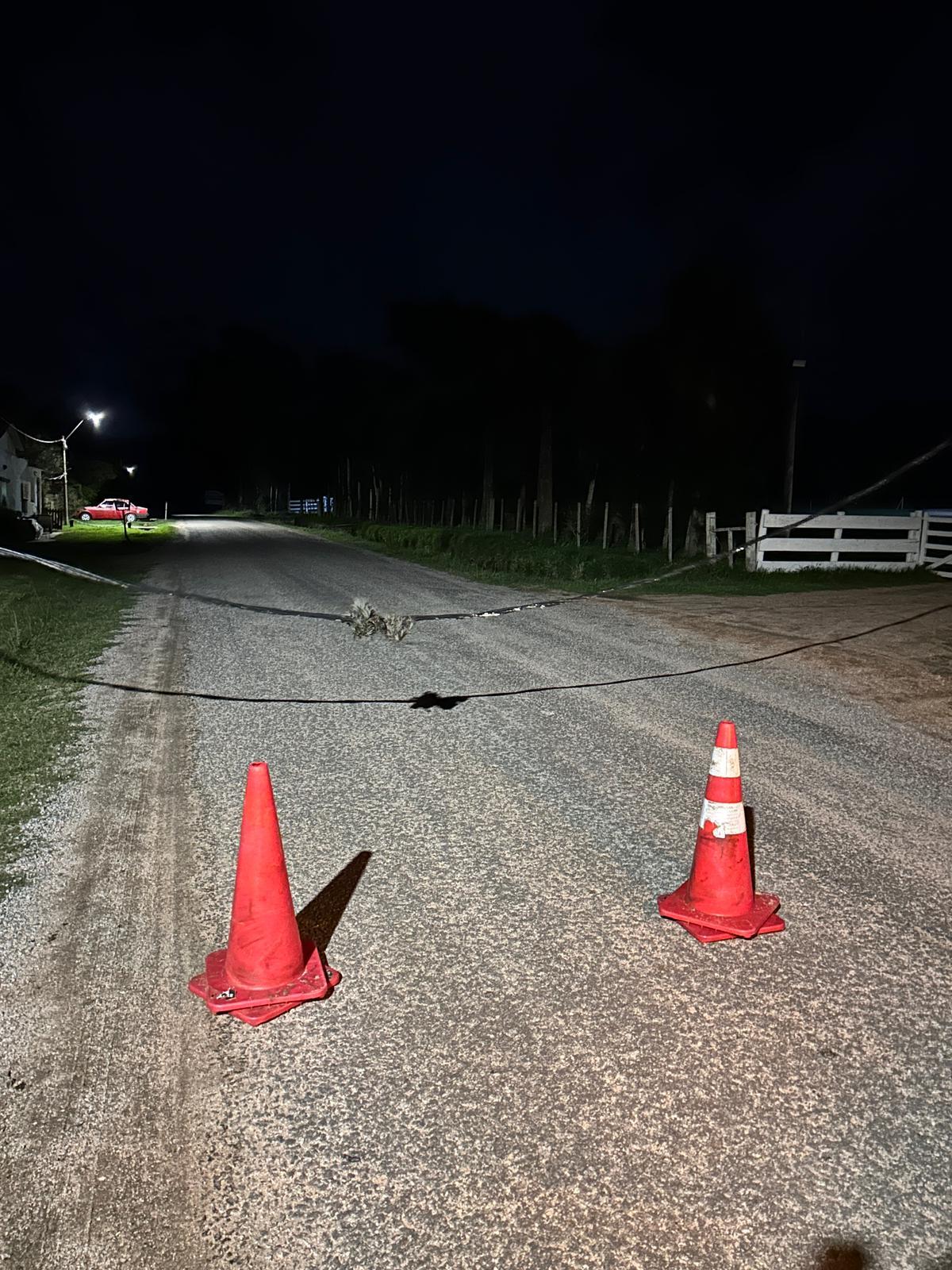 Imagen 1 de la galería