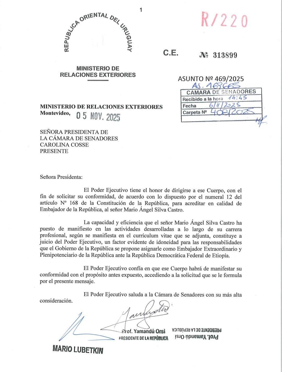 Imagen 1 de la galería