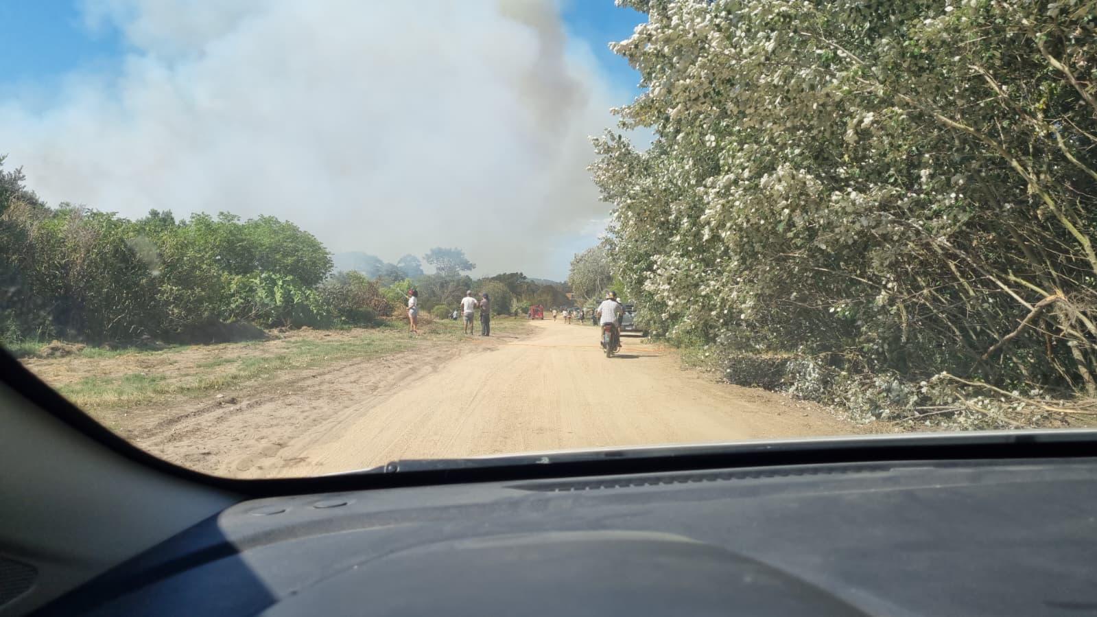 Imagen 1 de la galería