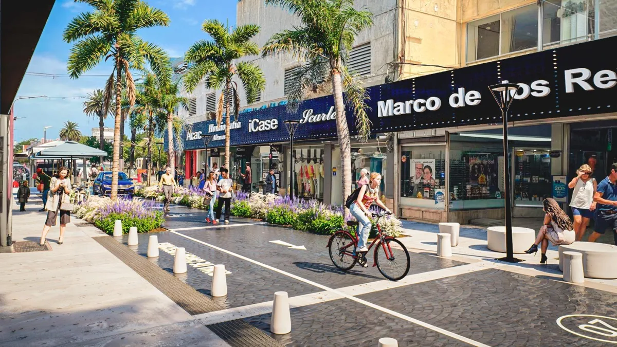Imagen 1 de la galería