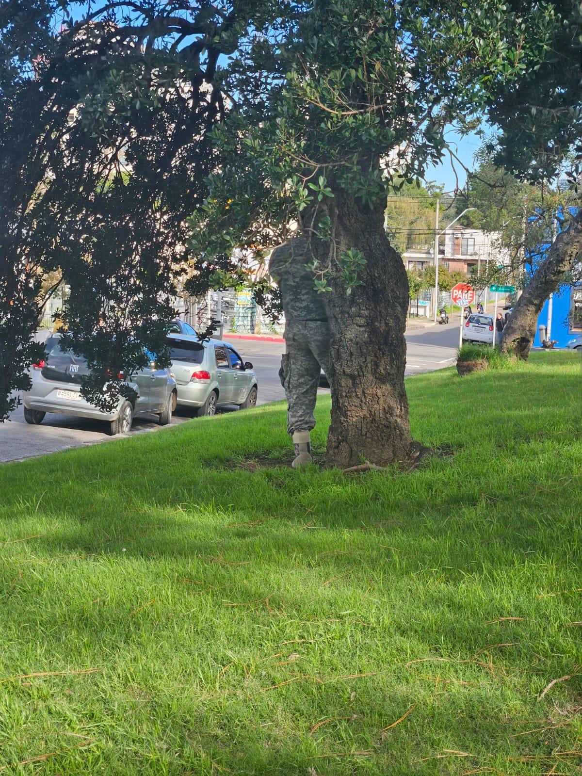 Imagen 1 de la galería