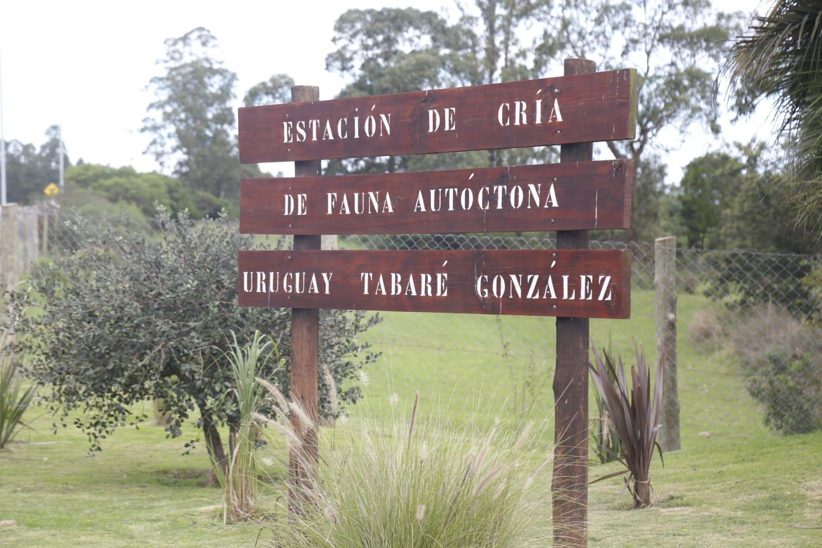 Imagen 2 de la galería