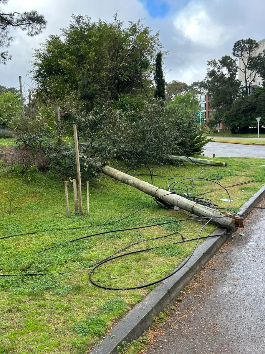 Imagen 1 de la galería