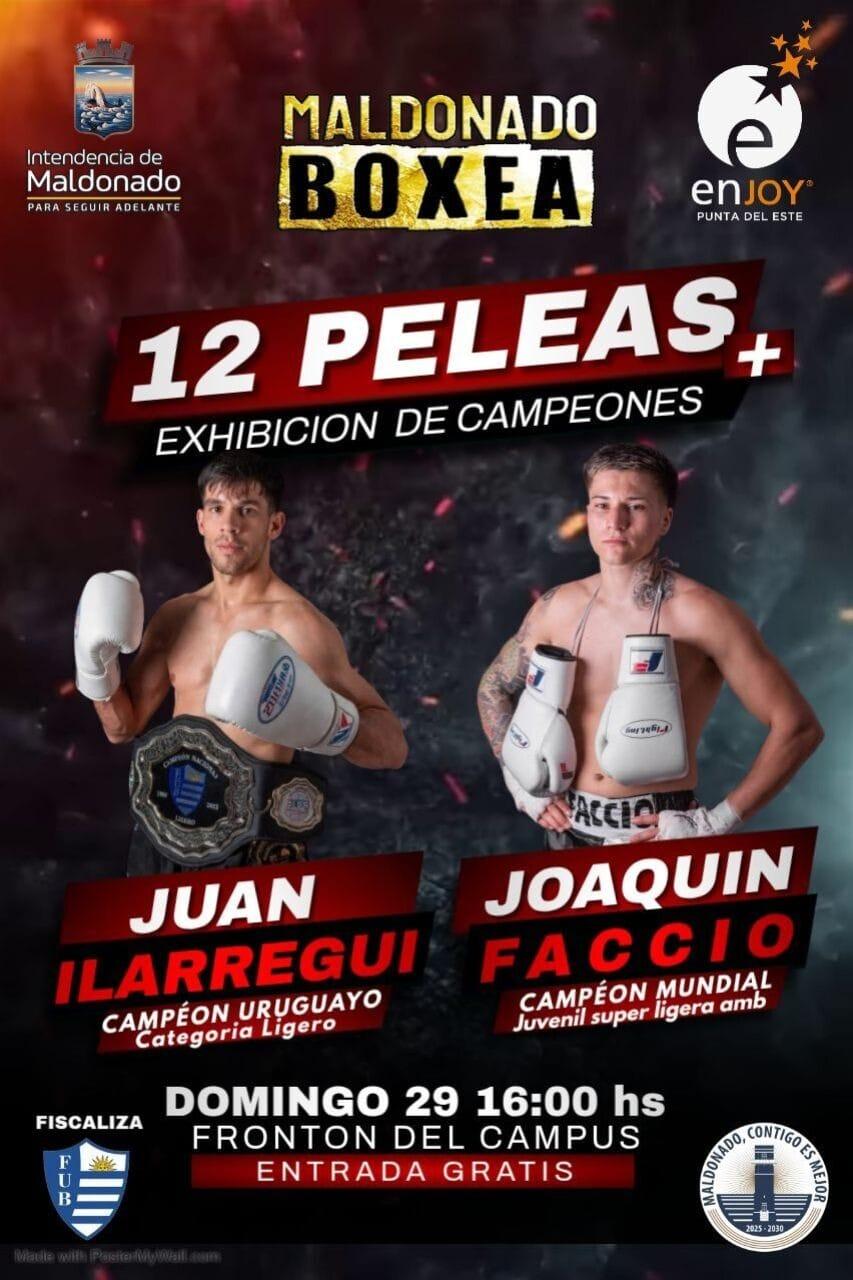 Imagen 1 de la galería