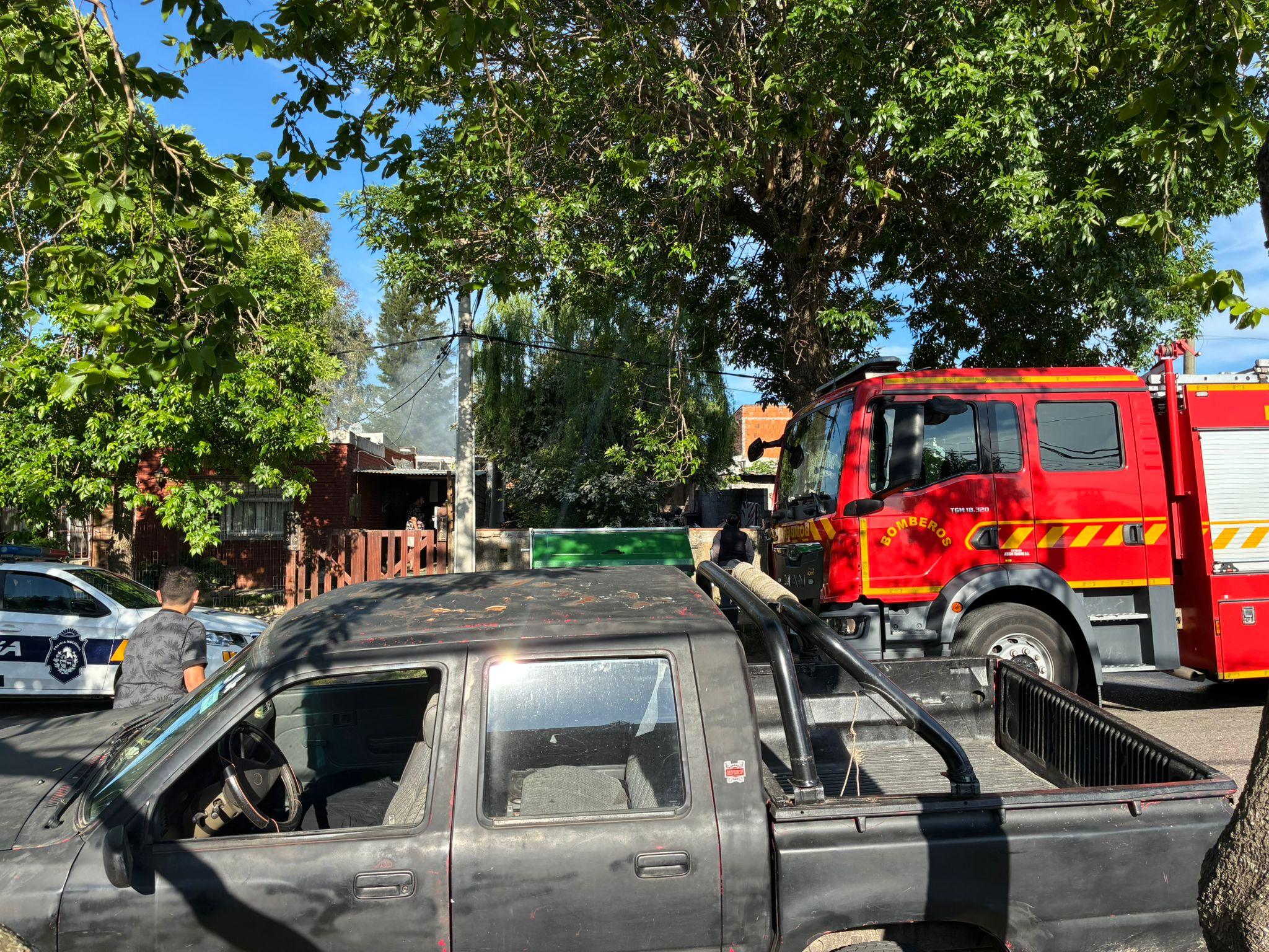 Imagen 1 de la galería