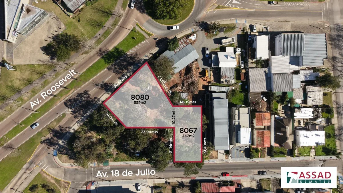 Imagen 1 de la galería