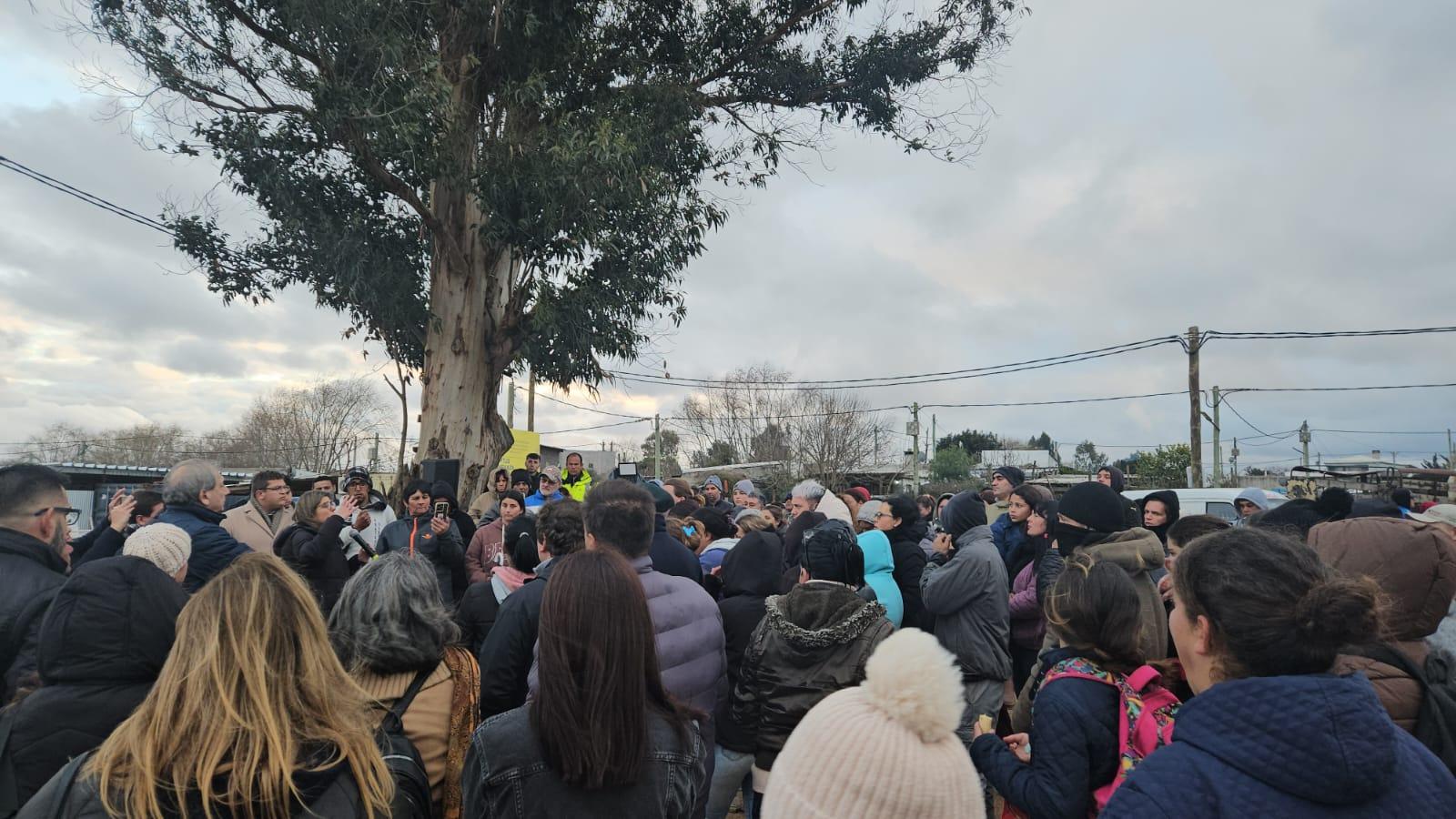 Imagen 3 de la galería