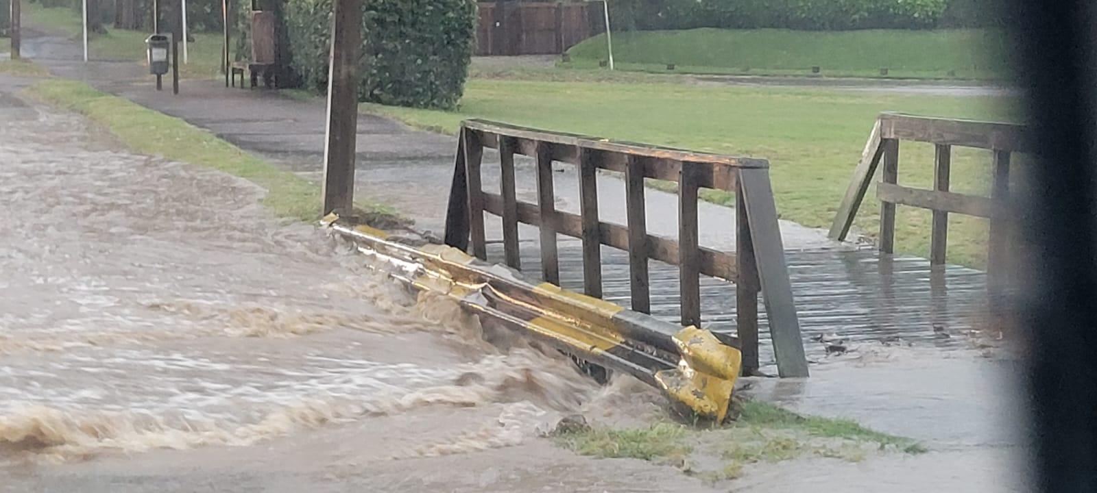 Imagen 2 de la galería