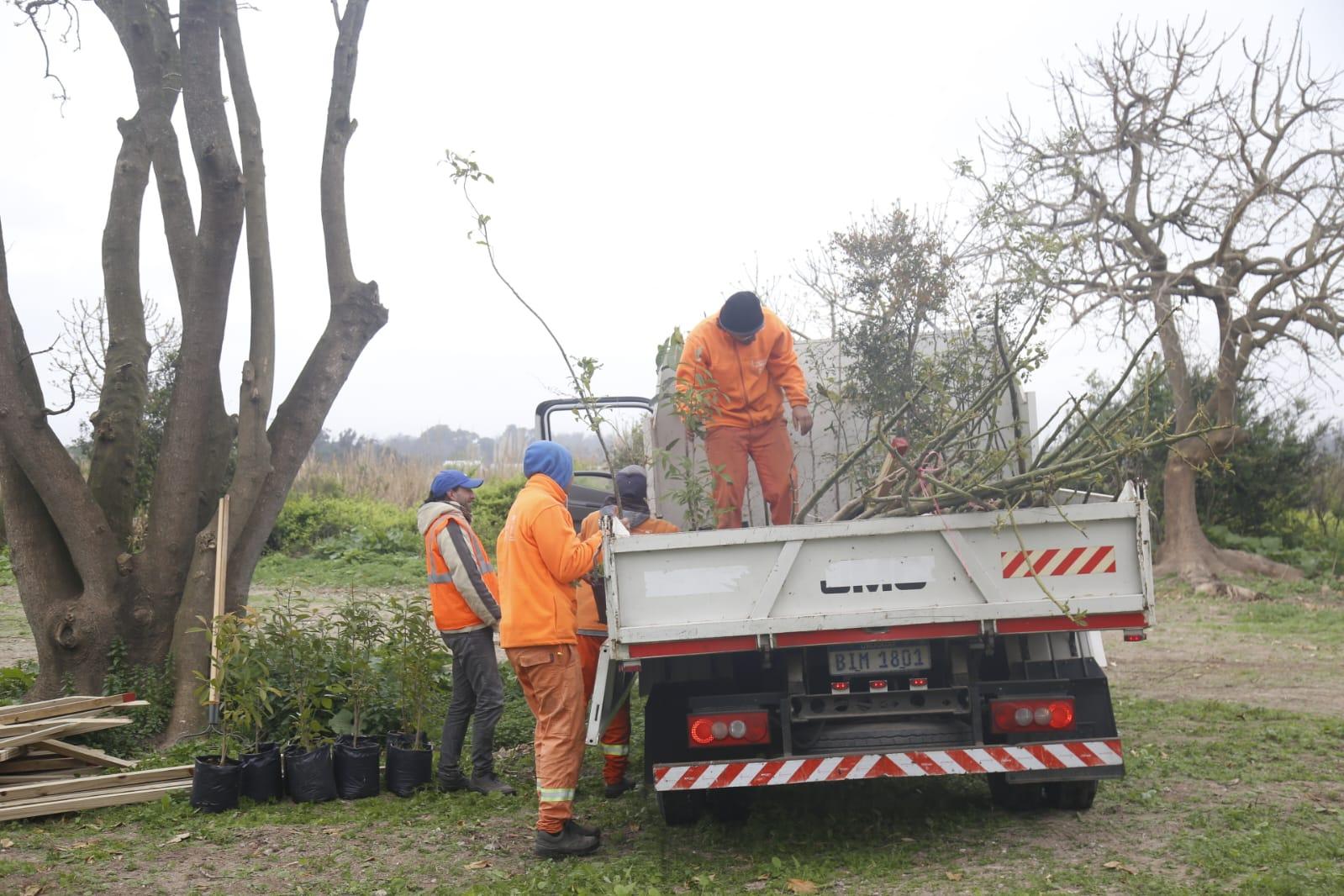 Imagen 1 de la galería