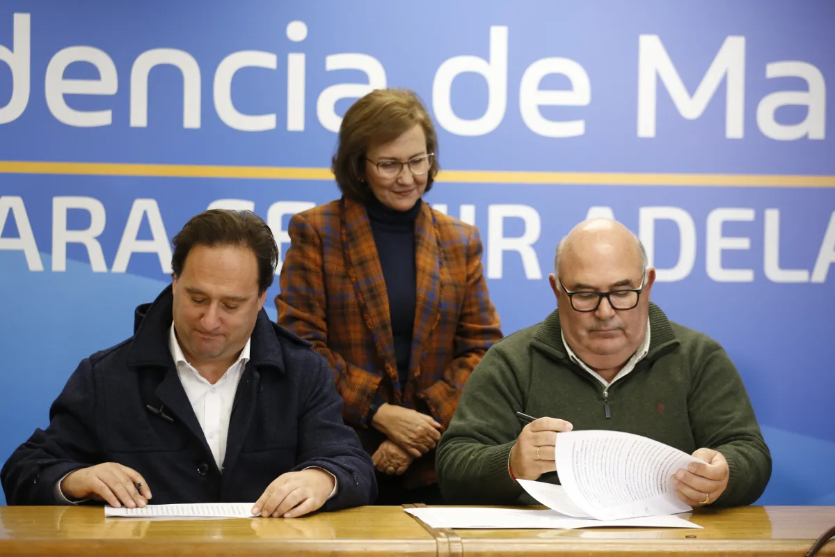 Imagen 1 de la galería