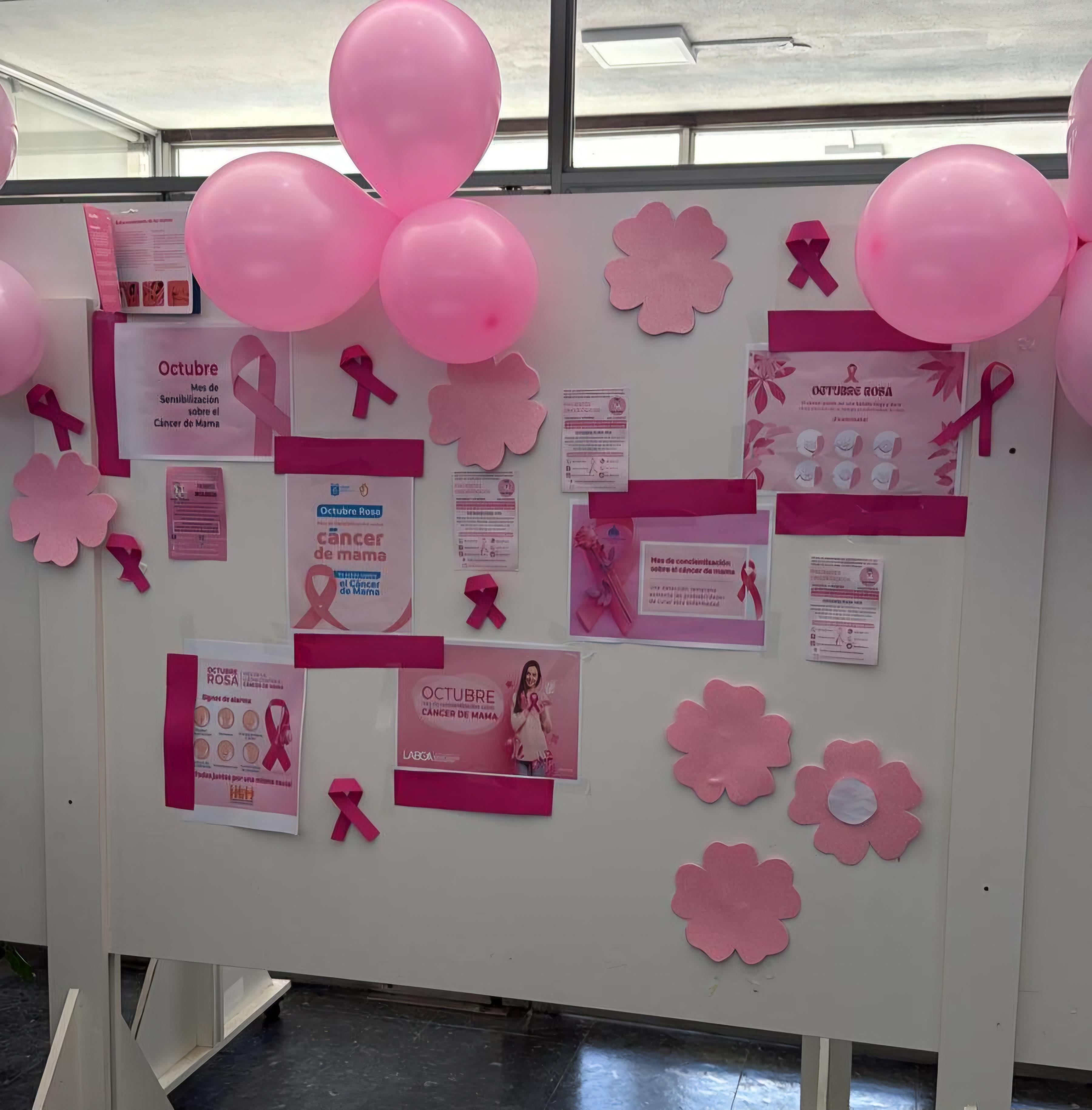 Imagen 2 de la galería