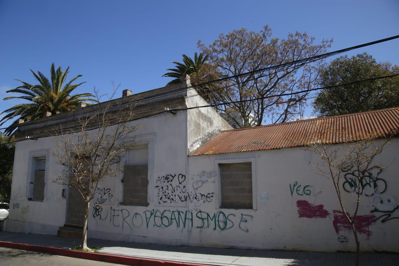 Imagen 1 de la galería
