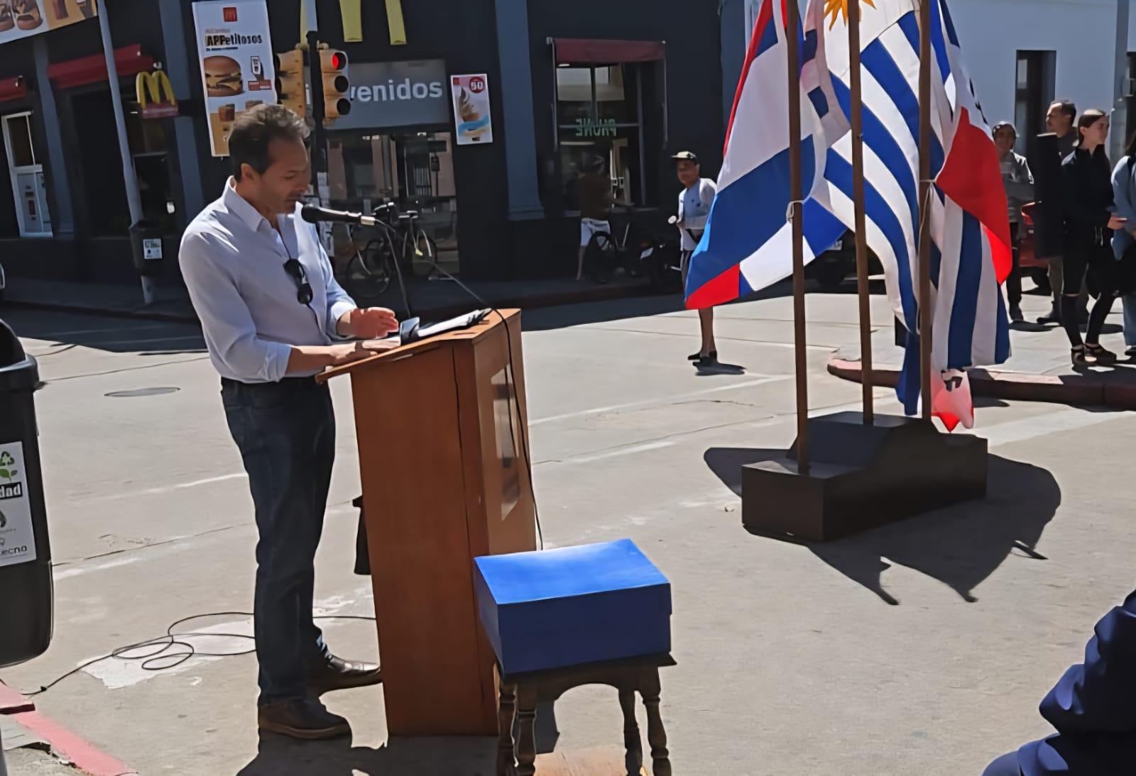 Imagen 1 de la galería