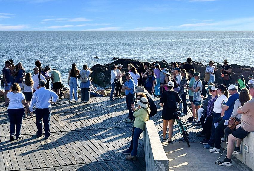 Imagen 2 de la galería