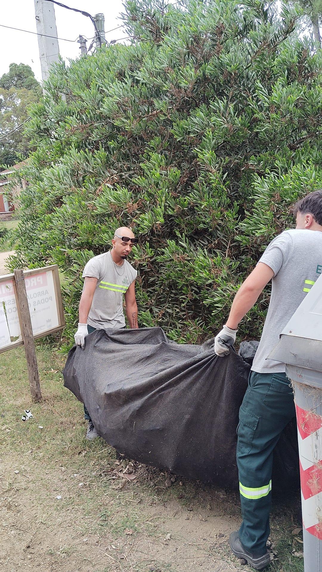 Imagen 1 de la galería