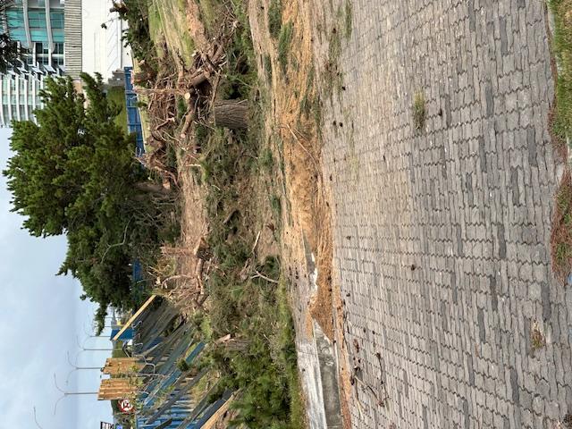 Imagen 1 de la galería