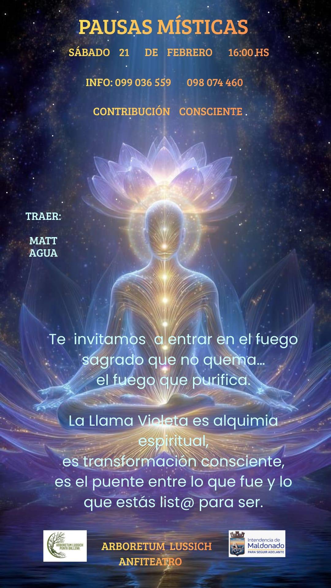 Imagen 1 de la galería