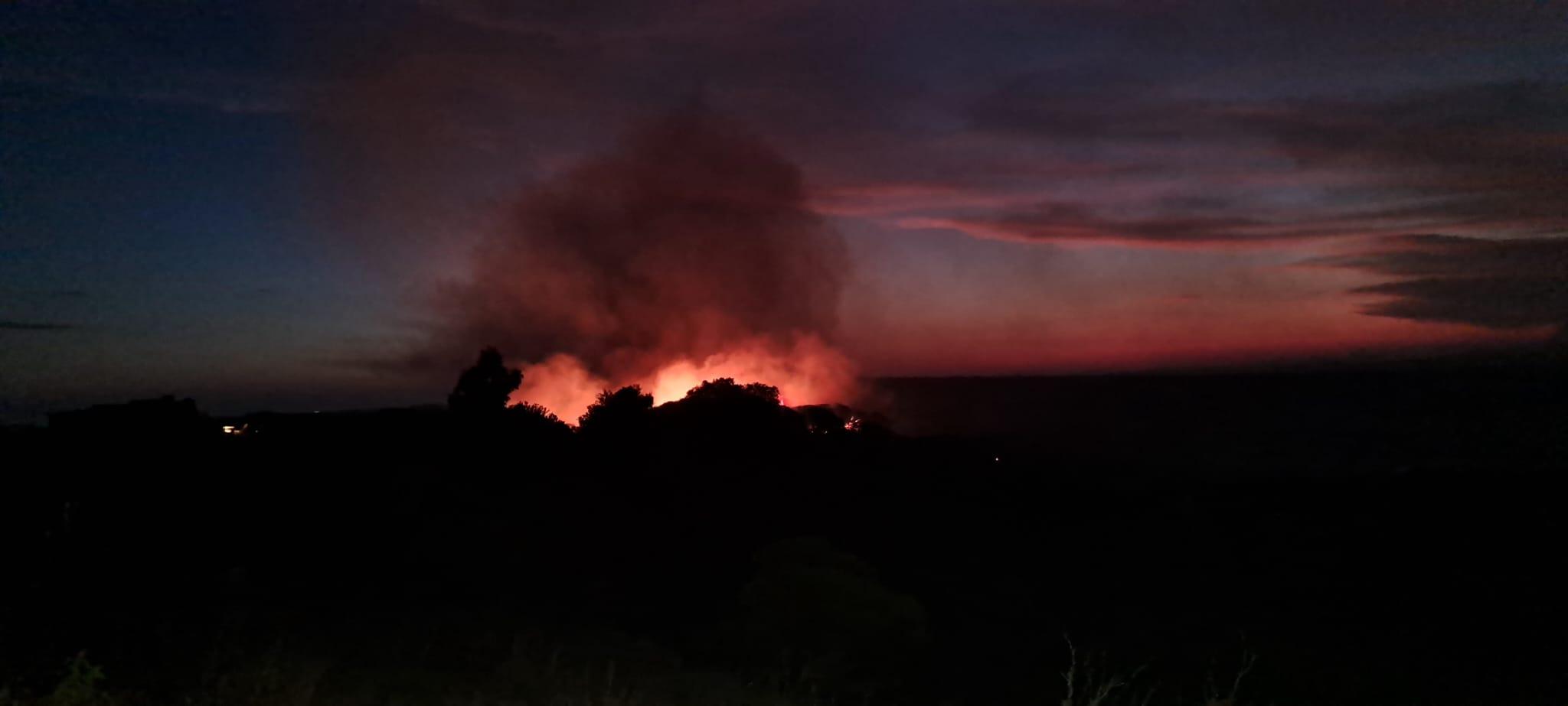 Imagen 1 de la galería