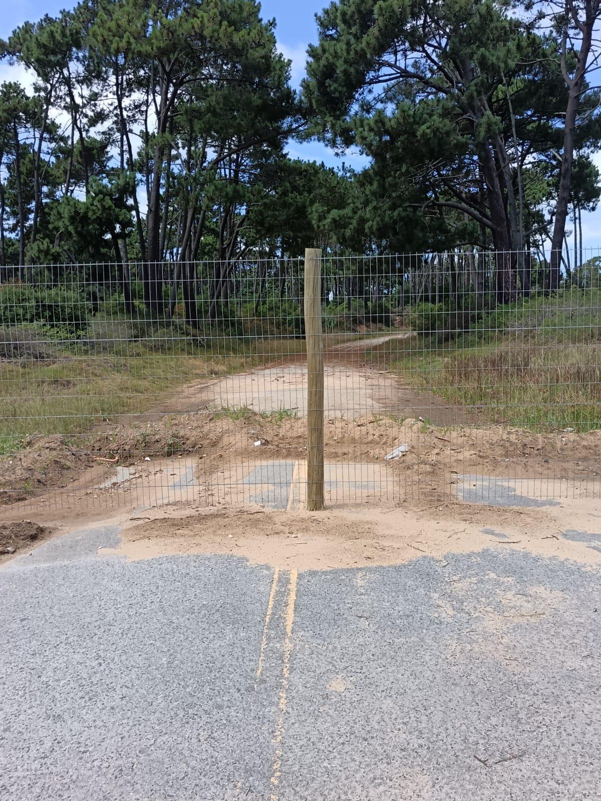 Imagen 1 de la galería