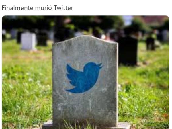 Imagen 2 de la galería