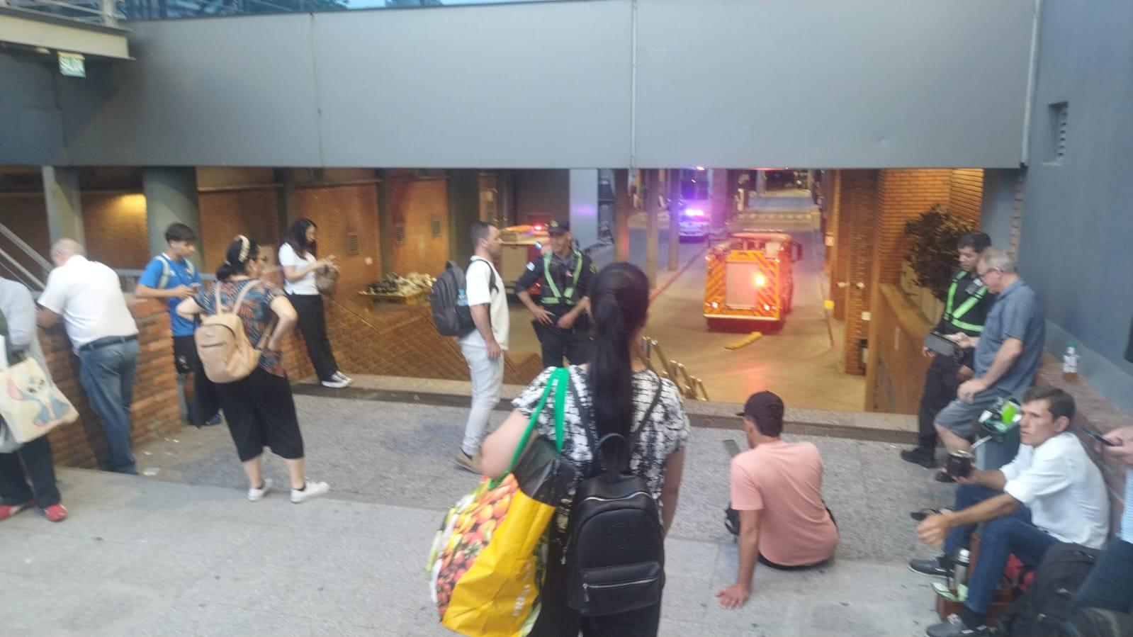 Imagen 1 de la galería