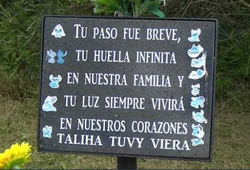 Imagen 1 de la galería