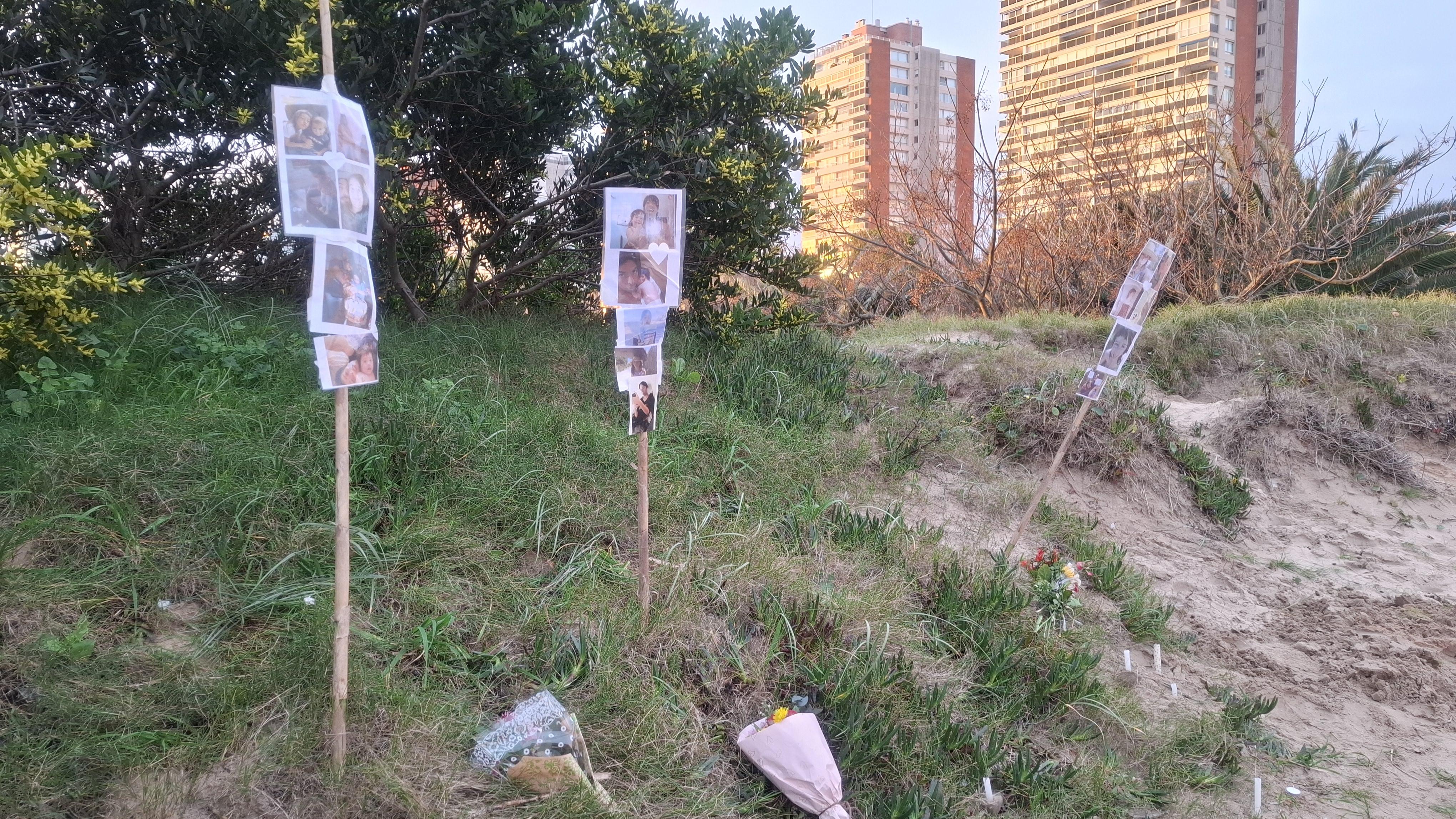 Imagen 2 de la galería