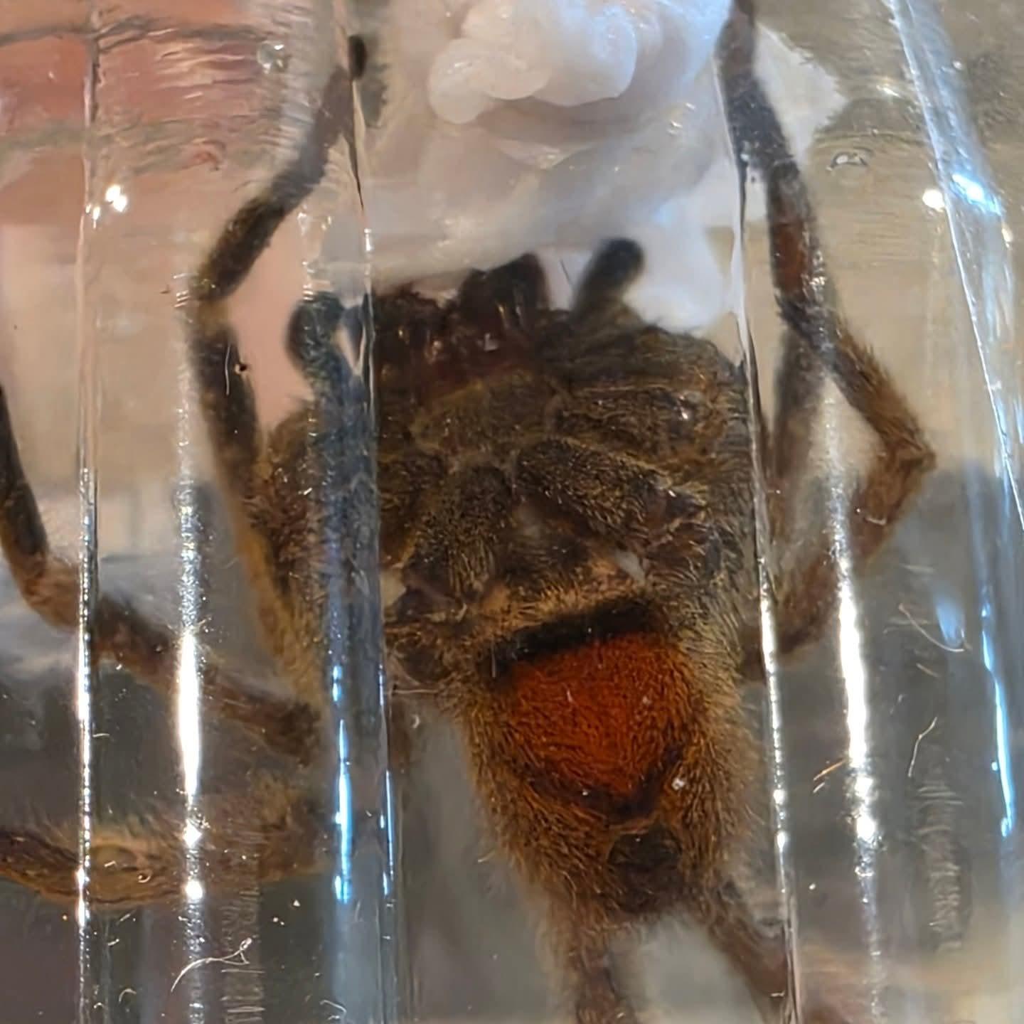 Imagen 1 de la galería