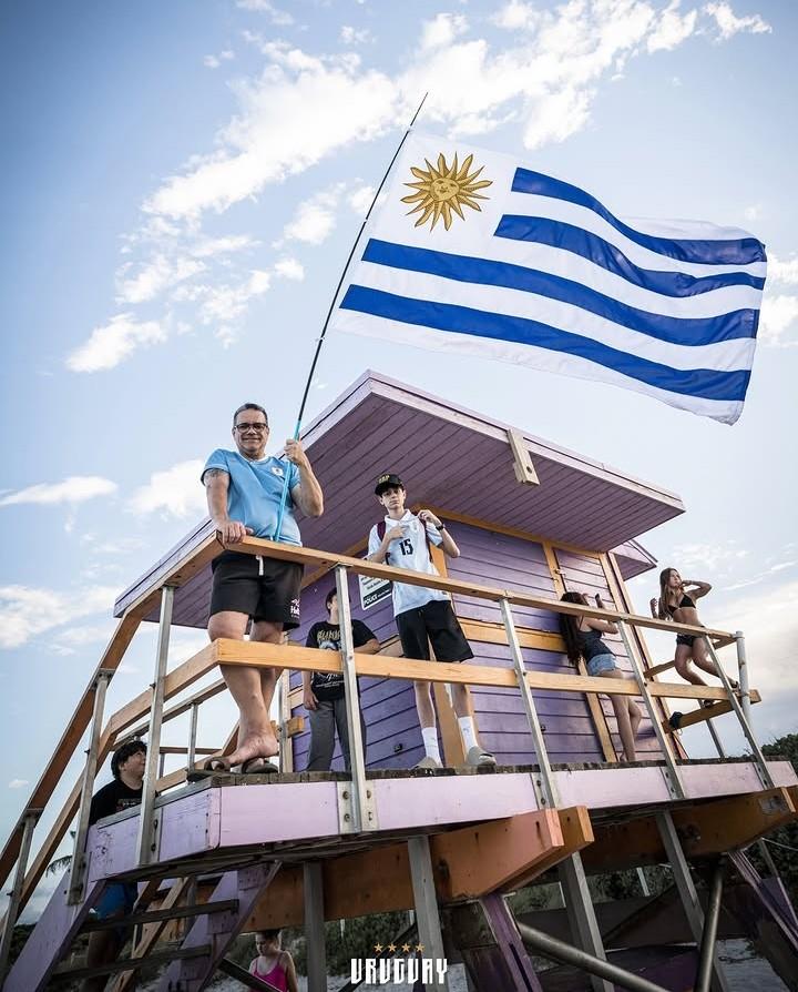 Imagen 1 de la galería