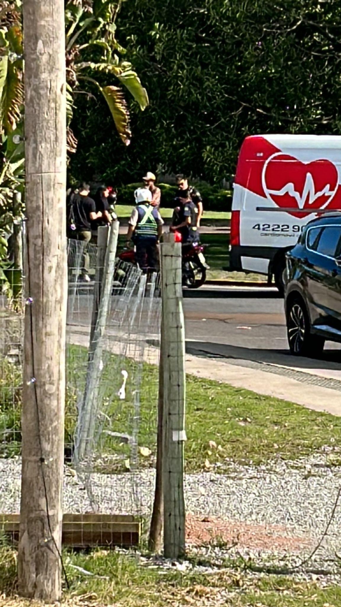 Imagen 2 de la galería