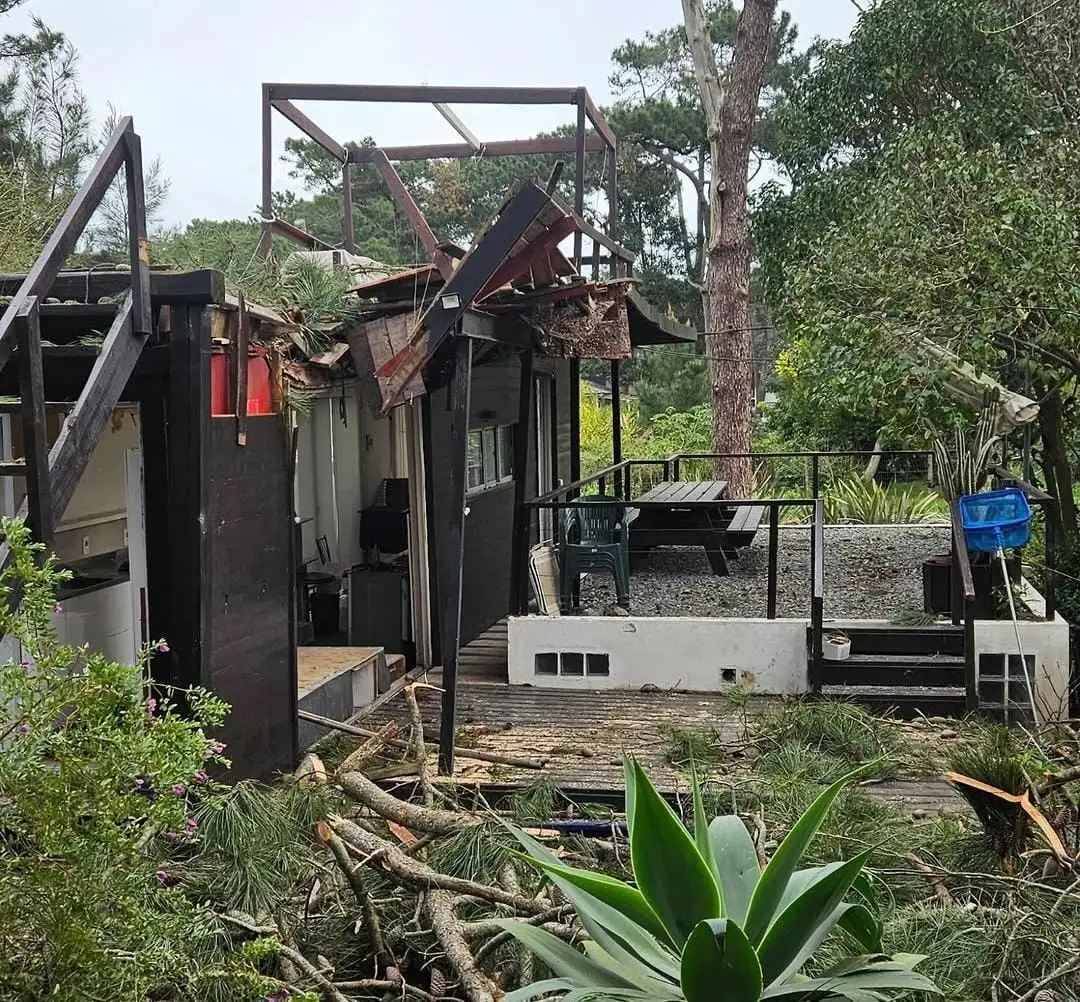 Imagen 1 de la galería