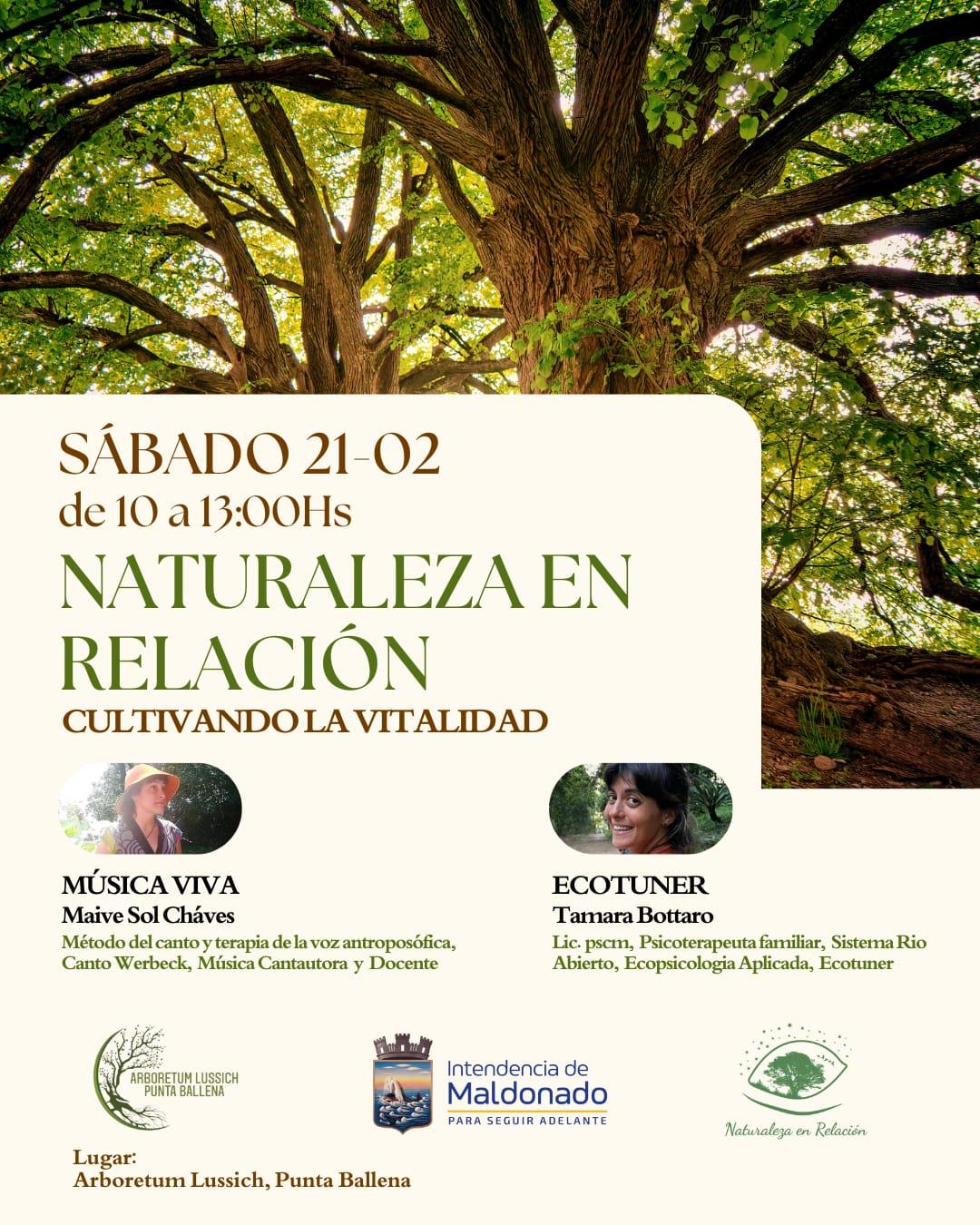 Imagen 2 de la galería