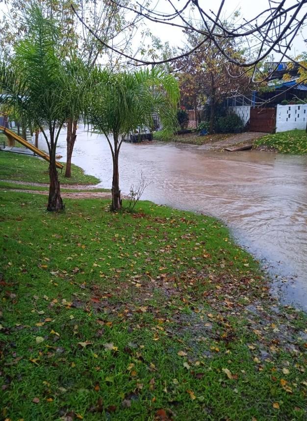 Imagen 2 de la galería