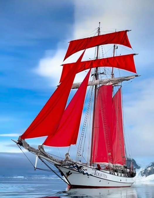 Imagen 1 de la galería