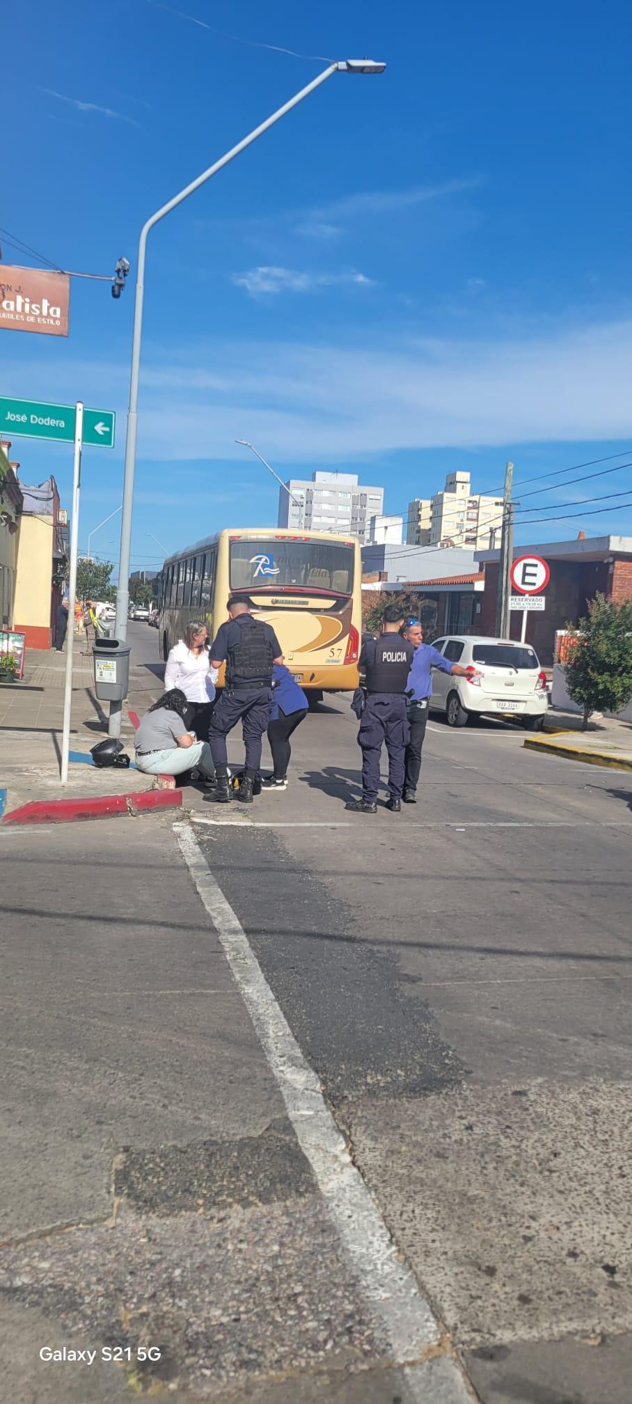 Imagen 1 de la galería