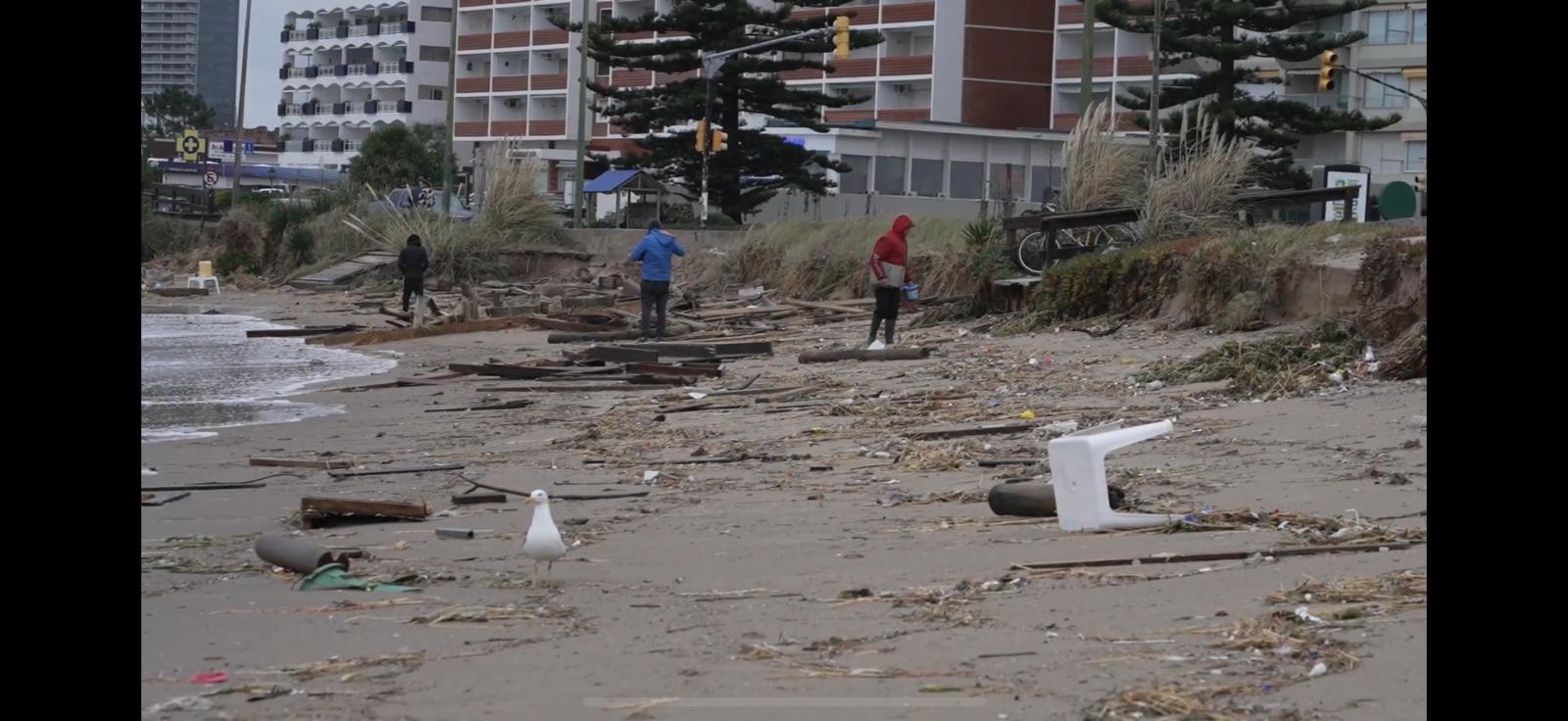 Imagen 2 de la galería