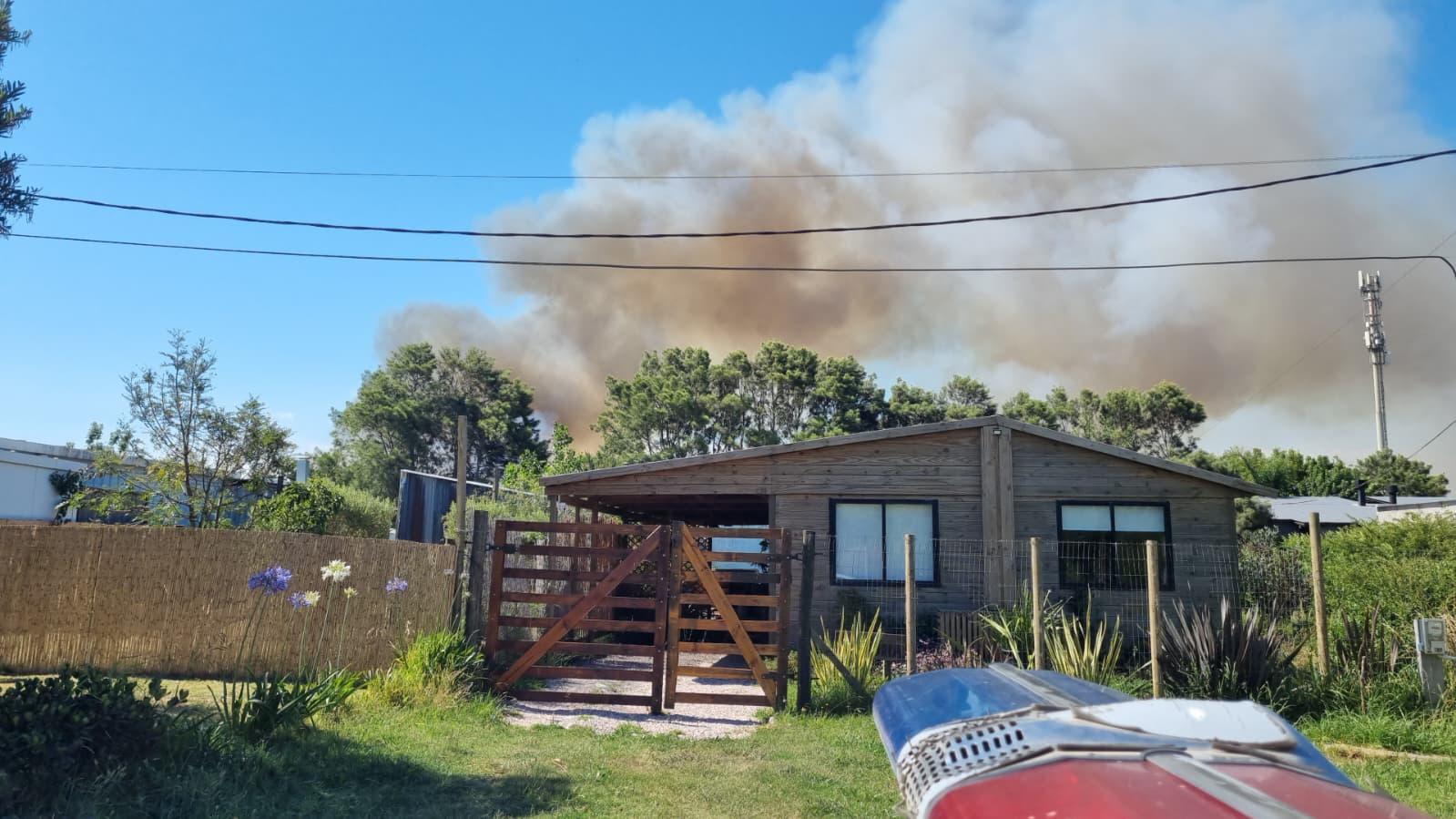 Imagen 2 de la galería