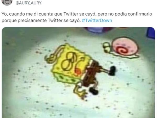 Imagen 3 de la galería