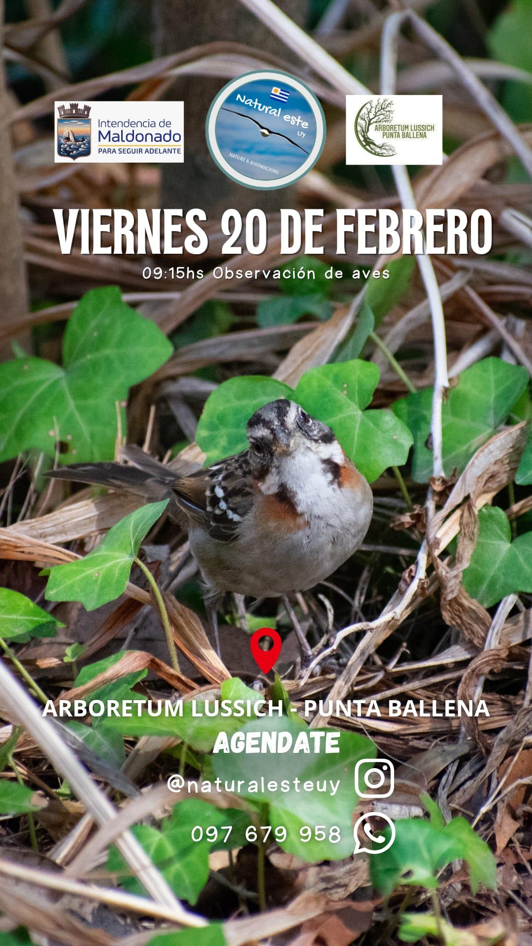 Imagen 3 de la galería