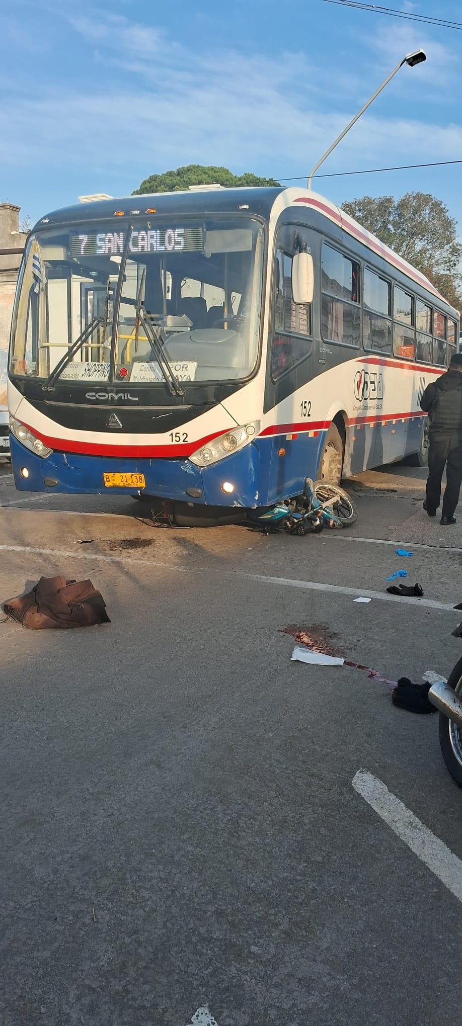 Imagen 2 de la galería