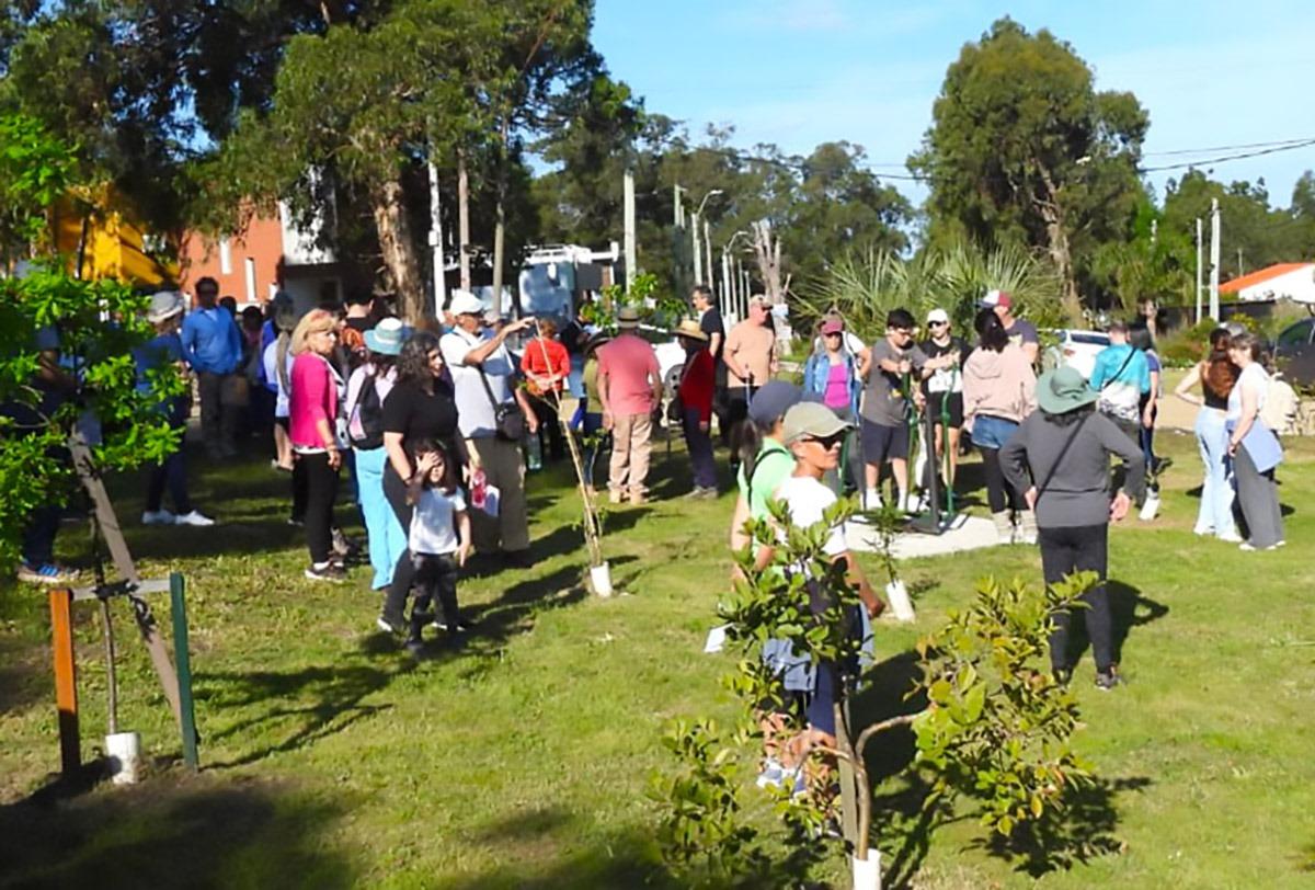 Imagen 3 de la galería