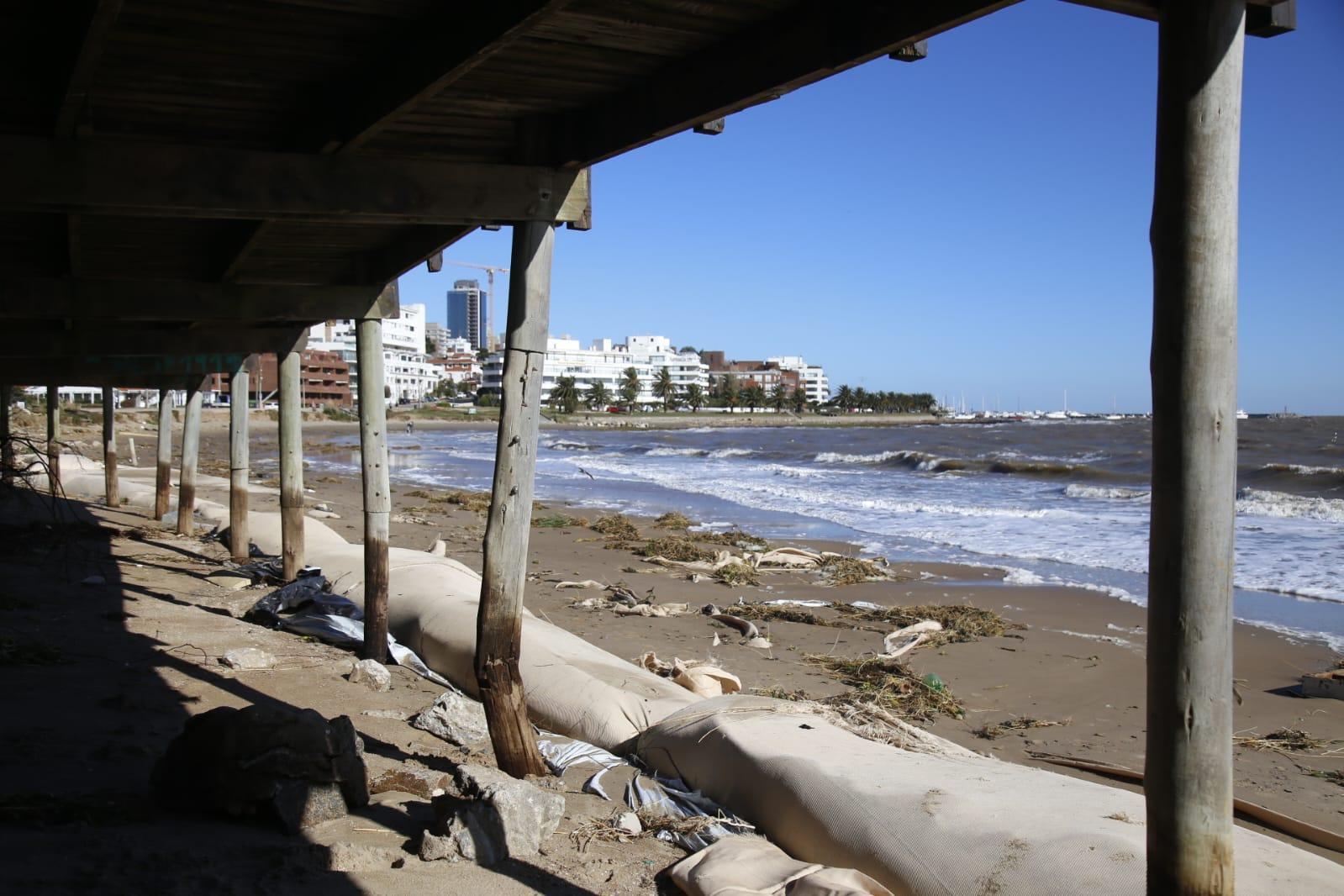 Imagen 3 de la galería