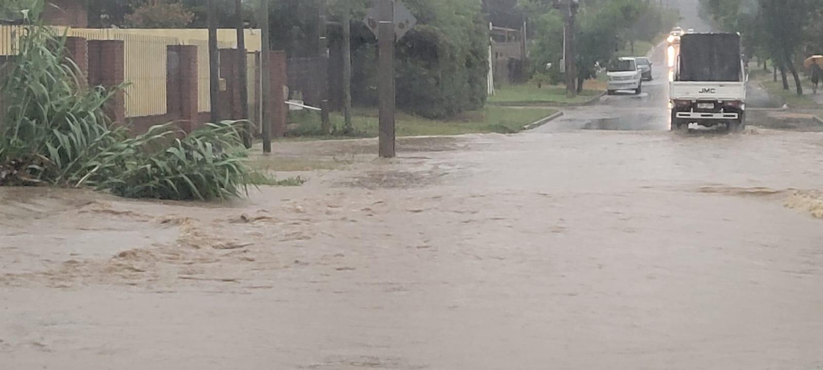Imagen 3 de la galería